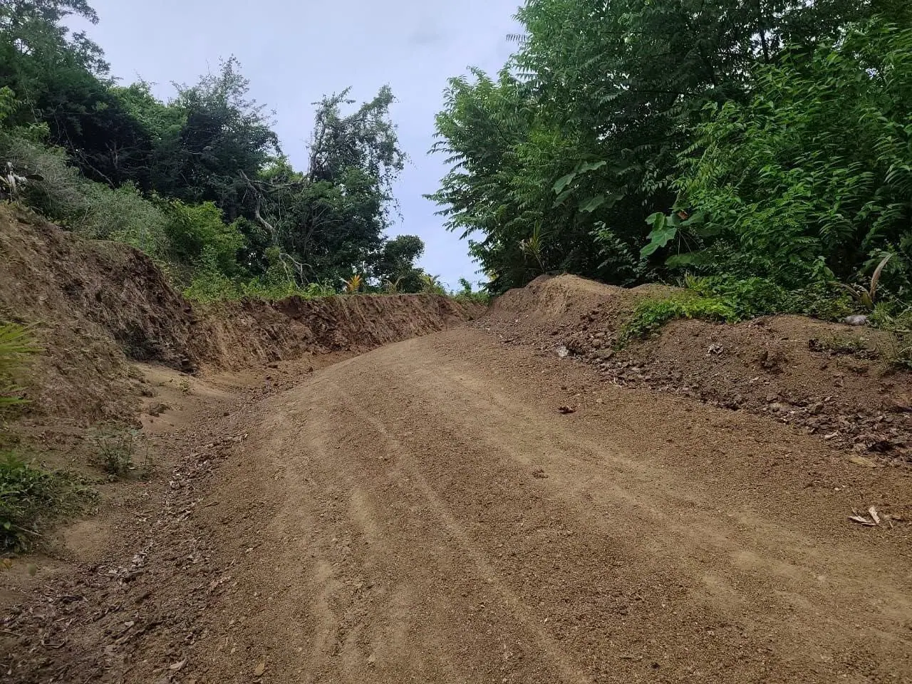 Camino de tierra recién abierto