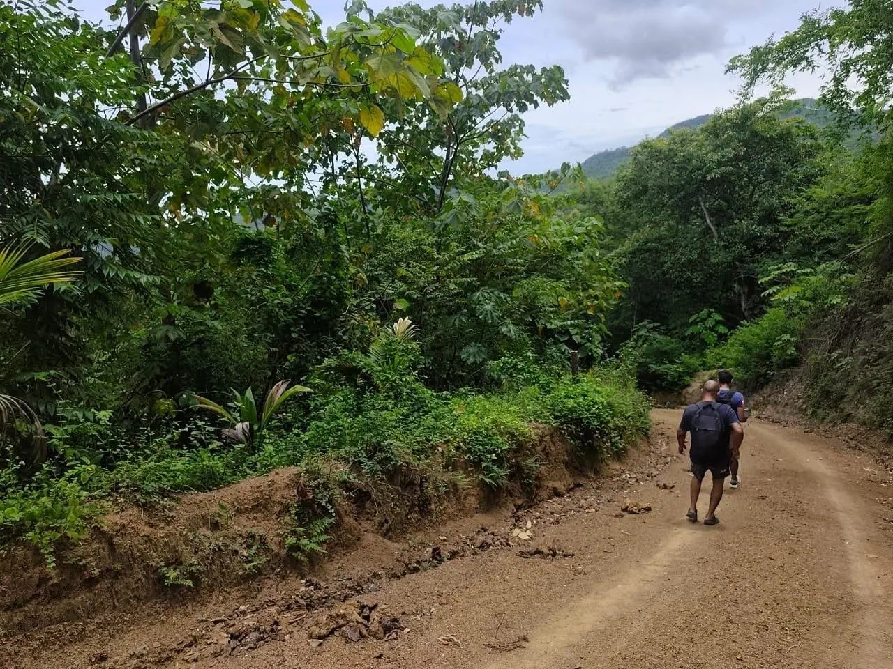 Recorrido a pie por el camino interno