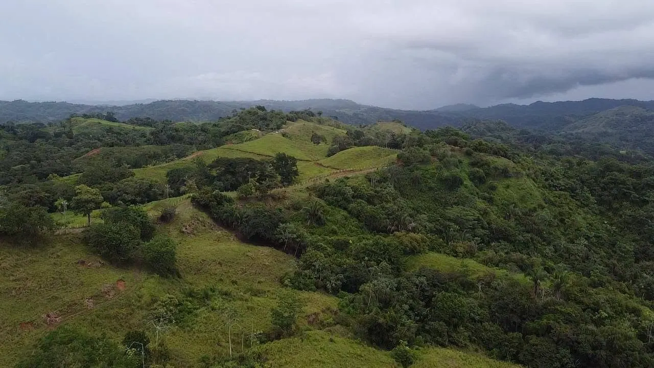 Lomas verdes con potreros y bosque