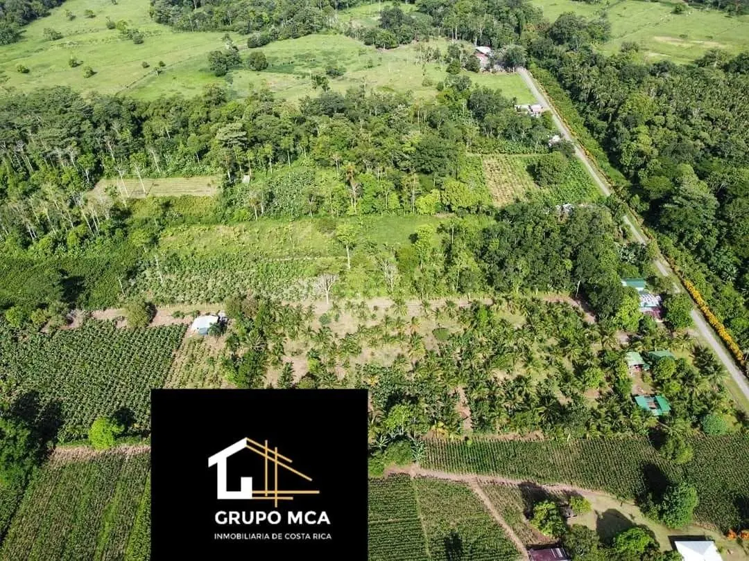 Toma aérea de lotes con cultivos