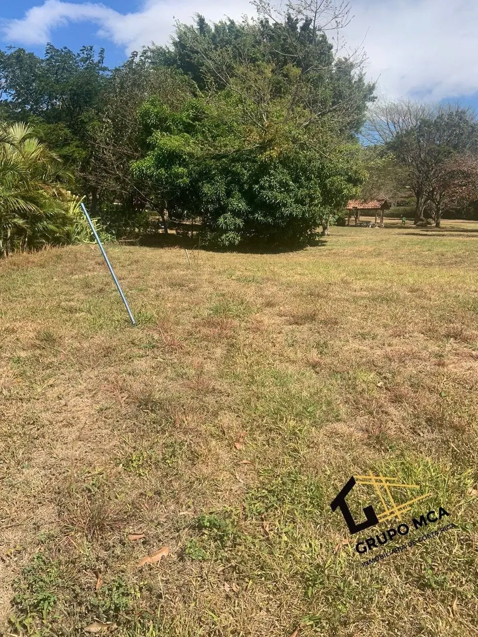 Terreno con árbol grande al centro