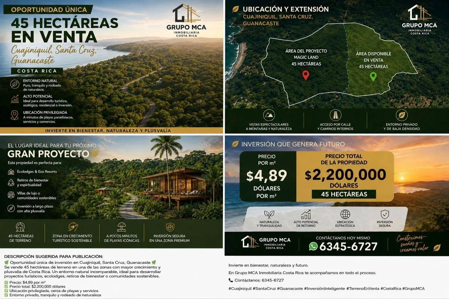 Arte de venta en cuatro paneles: la zona, el contorno del terreno, los usos ideales y el precio