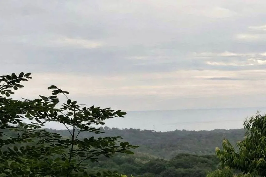 Vista desde Cuajiniquil: bosque en primer plano y el mar al fondo