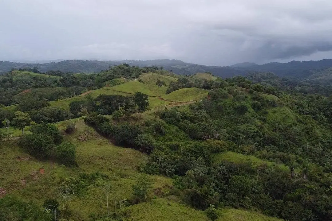 Lomas verdes con potreros y bosque