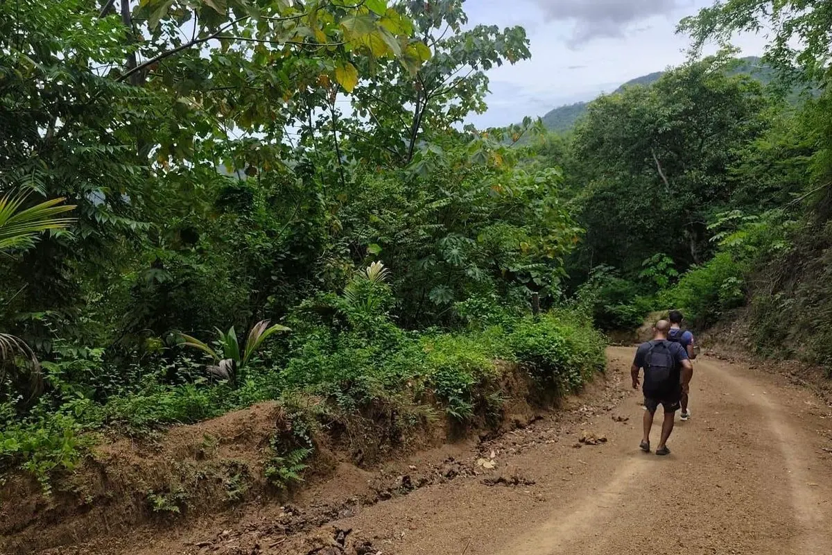 Recorrido a pie por un camino de tierra entre la vegetación, evaluando una propiedad